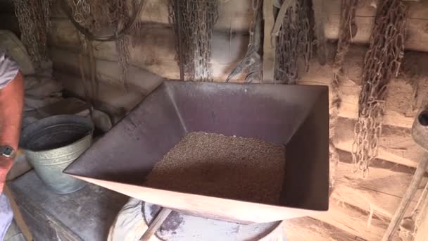 農家は、ファーム工場の設備と穀物を挽きます。小麦粉処理 — ストック動画