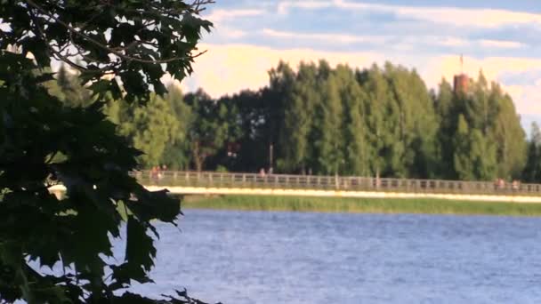 Hojas oscilan en el viento y puente largo sobre el lago cerca del bosque — Vídeo de stock