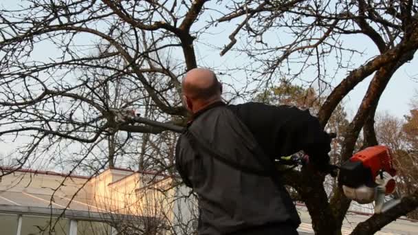 Jardineiros viram cortar ramo de árvore de frutas com ferramenta especial na primavera — Vídeo de Stock