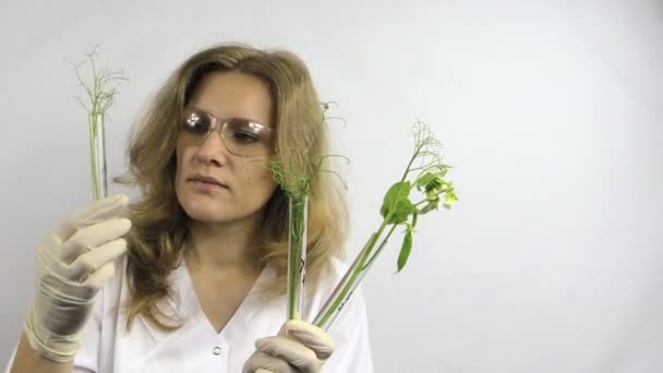 Woman research coded flask with diferent height peas — Stock Video