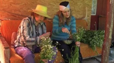 Üst düzey büyükanne ve genç kadın ot papatya çiçek almak