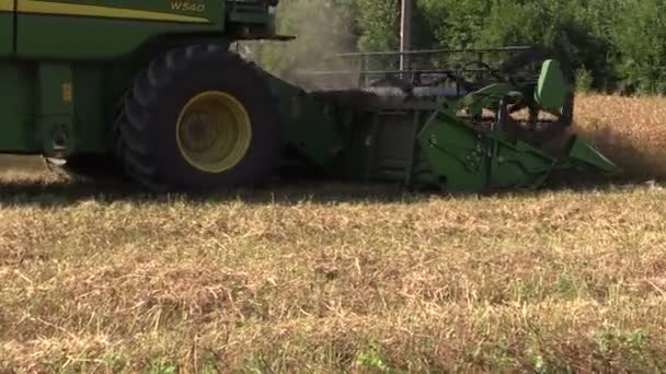 Rural combine harvester reaps cereal wheat field — Stock Video