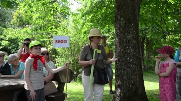 Panorama de jardín botánico guía contar historias a grupo turístico — Vídeos de Stock