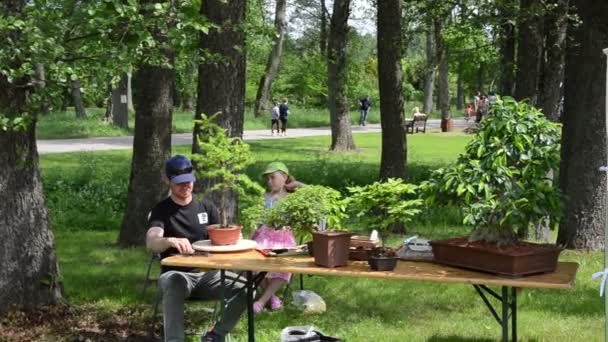 Manusia merawat pohon bonsai dan orang melihat tanaman yang dijual di pasar — Stok Video