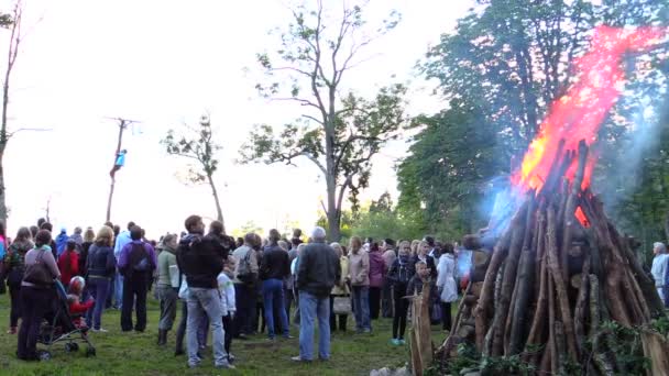 Crowd people around  burning campfire in open place — Stock Video