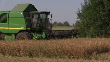 Hasat dayak bezelye alan köyüne birleştirmek