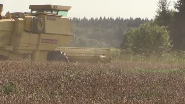 现代联合收割机收割小麦粮田和灰尘上升。三脚架. — 图库视频影像