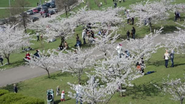 Turistas y ciudadanos recrean en parque de primavera — Vídeo de stock