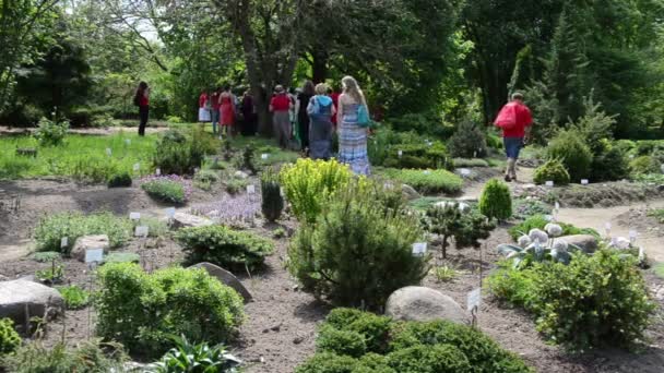 As pessoas caminham entre várias espécies de plantas com nomes no jardim — Vídeo de Stock