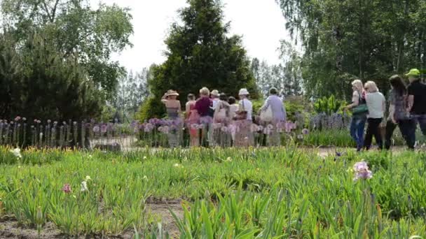 Skupina turistů lidi chůze v botanické zahradě — Stock video