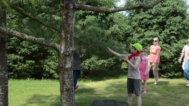 Гид по ботаническому саду рассказывает истории туристической группе — стоковое видео