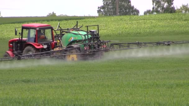 Traktor spray gödselmedel spannmål fält för tillväxt. Agronomy arbete — Stockvideo