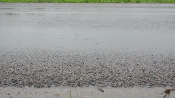 Автомобиль проходит асфальтовую дорогу в дождь и брызги воды — стоковое видео