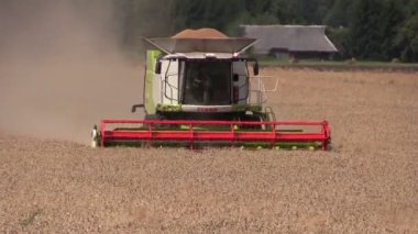 Hasat birleştirmek thrash buğday alanı