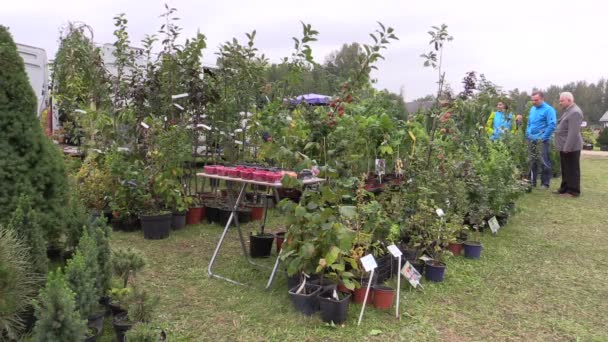 Taman tanaman, pohon buah perdu dan bunga perdagangan luar ruangan — Stok Video