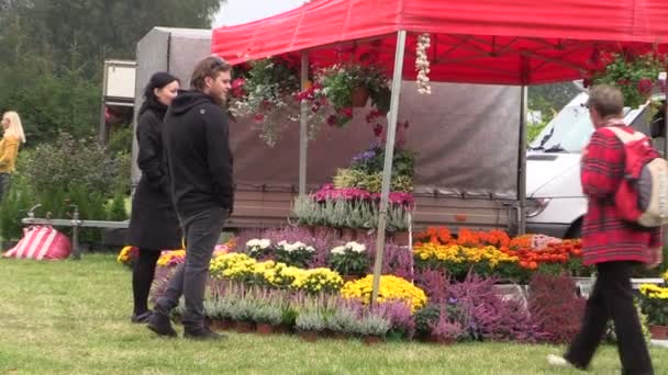 Menschen kaufen Blumen und Pflanzen auf botanischem Volksfest — Stockvideo