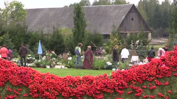 Autumn botanical festival decorations and people buy plants — Stock Video
