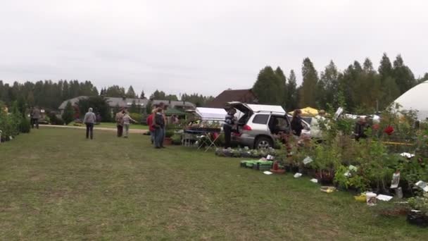 Messe für Gärtner Verkauf Blume dekorativen Strauch Baum Setzling — Stockvideo