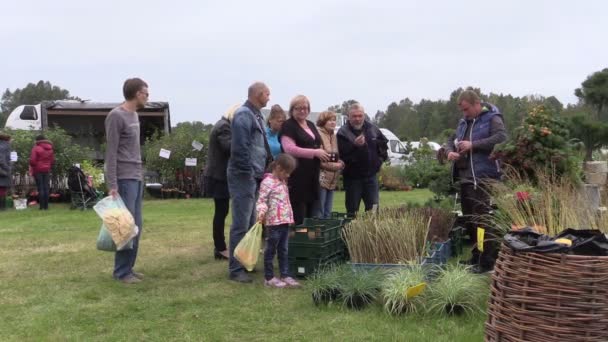 People buy berry bushes from gardener at plant fair — Stock Video