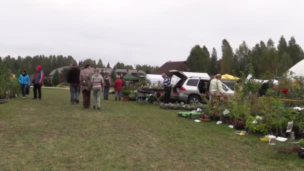 People buy flowers, plants and food sold in botanical festival — Stock Video