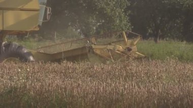 Sarı biçerdöver hububat alanındaki çalışmalarına son yaz birleştirmek
