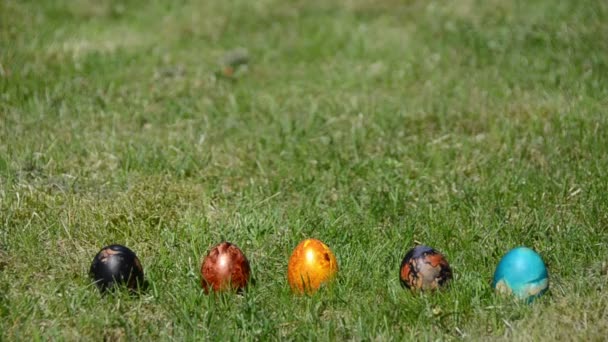 Hand countdown to start Easter egg game. Roll colorful eggs — Stock Video