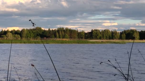 Paysage lac bleu et long pont près de la forêt, vue statique — Video