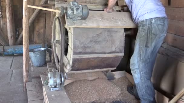 L'agriculteur tourner la poignée de l'outil d'équipement de tamisage et tamiser le grain — Video