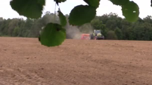 Branche d'arbre avec des feuilles se déplacent et tracteur fertiliser champ de truie — Video