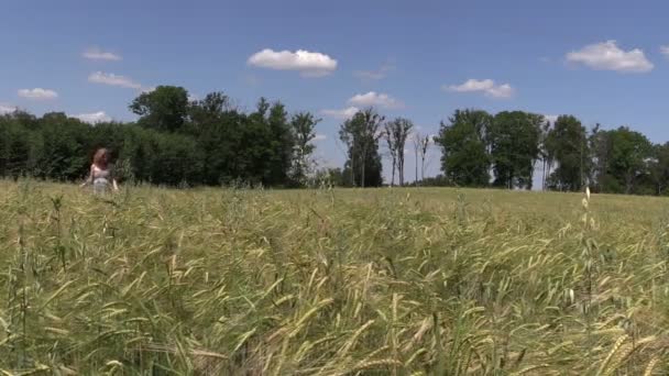 Mladá žena projít zralé žito pole na pozadí modré oblohy — Stock video