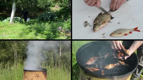 Fresh fish cleaning and preparing. Video clips collage. — Stock Video