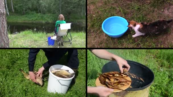 Femme pêche avec chat animal de compagnie. Du poisson fumé. Clip vidéo collage . — Video