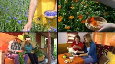 Kadın ve el toplamak otlar bitkisel çay iç. Klip kolaj.
