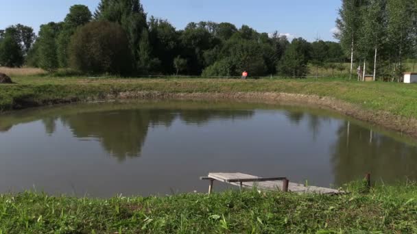 Hombre de mediana edad hacer salto de cabeza en el agua del estanque desde el puente — Vídeo de stock