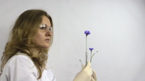 Исследовательница наблюдает за колбами с генетически модифицированным растением — стоковое видео