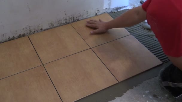 Handyman lay floor tiles at home. Closeup shot — Stock Video