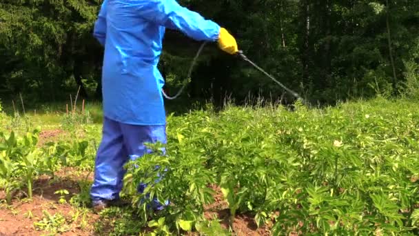 Человек защищает картофельный сад с помощью распылителя сельскохозяйственных пестицидов — стоковое видео