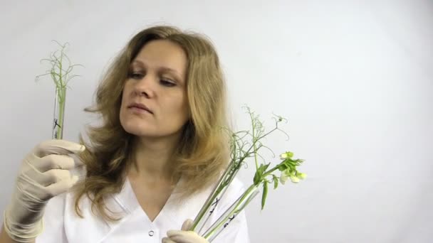 Вчена жінка досліджує колби з генетично модифікованими рослинами — стокове відео