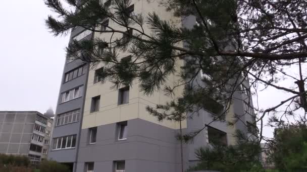 Renovado apartamento alto apartamento casa janelas e árvore ramo — Vídeo de Stock