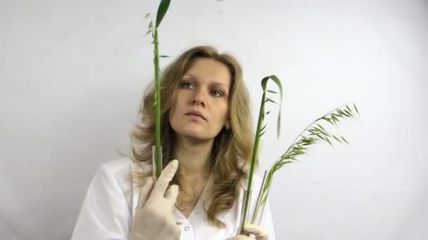 Scientist woman research flasks with modified oat plants — Stock Video