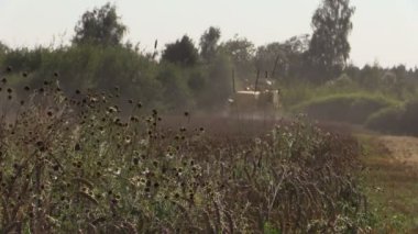 Tarım birleştirmek thrash buğday tahıl çiftlik alan ve olgun kulaklar