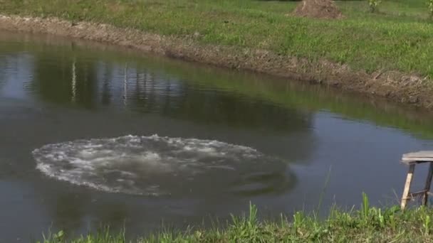 Zoom out girl jump in rural pond. Splash wave in pond on summer — Stock Video