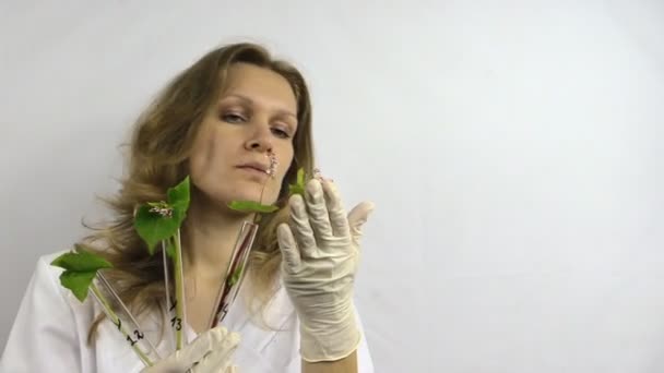 Scientist woman in white robe research flasks in laboratory — Stock Video