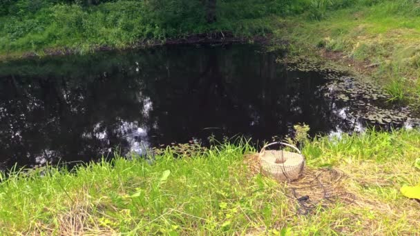 Chica lanzar bolsa de pesca con red en el estanque . — Vídeos de Stock