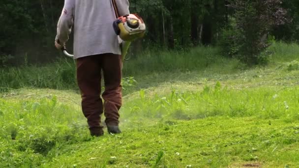 Zahradník s ochrannou maskou stříhání trávy. Oddálit. — Stock video