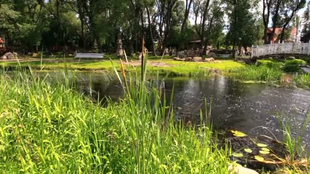 Zomer stroom stroom in groen park — Stockvideo