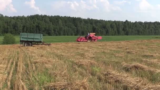 Farm tractor work in village field. — Stock Video