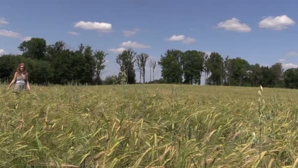 Pregnant woman go through rye field on blue sky background — Stock Video