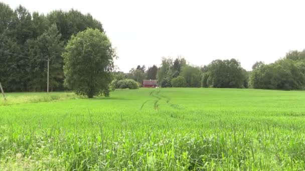 Ländliches Reihenhaus zwischen Feldern und Bäumen. Vergrößern — Stockvideo