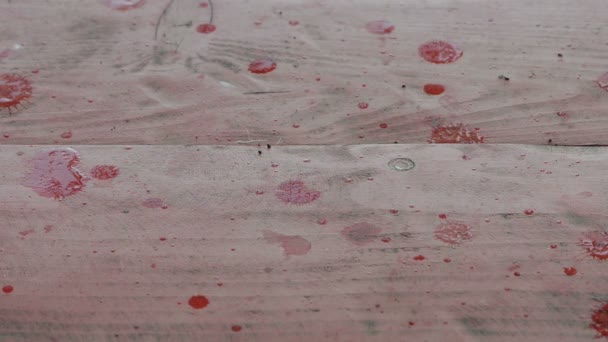La surface en bois rouge tombant de grandes gouttes de pluie — Video